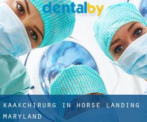 Kaakchirurg in Horse Landing (Maryland)
