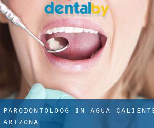 Parodontoloog in Agua Caliente (Arizona)