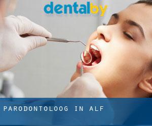 Parodontoloog in Alf