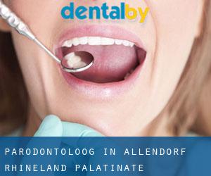 Parodontoloog in Allendorf (Rhineland-Palatinate)