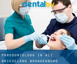Parodontoloog in Alt Brieselang (Brandenburg)