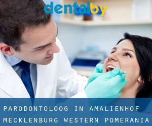 Parodontoloog in Amalienhof (Mecklenburg-Western Pomerania)