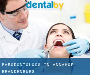 Parodontoloog in Annahof (Brandenburg)