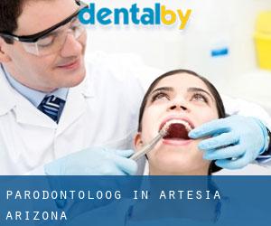 Parodontoloog in Artesia (Arizona)