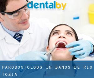 Parodontoloog in Baños de Río Tobía