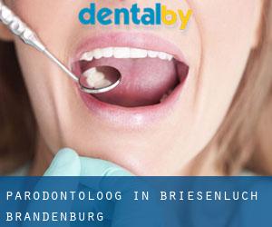 Parodontoloog in Briesenluch (Brandenburg)