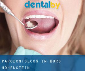 Parodontoloog in Burg Hohenstein