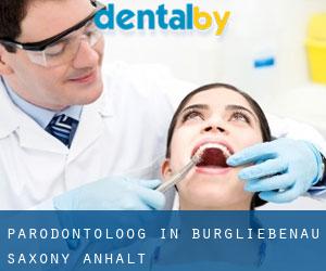 Parodontoloog in Burgliebenau (Saxony-Anhalt)