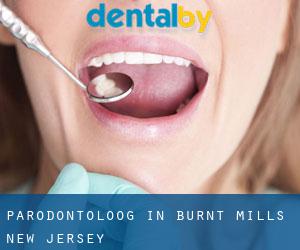 Parodontoloog in Burnt Mills (New Jersey)