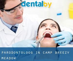 Parodontoloog in Camp Breezy Meadow