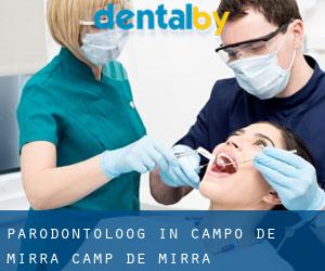 Parodontoloog in Campo de Mirra / Camp de Mirra