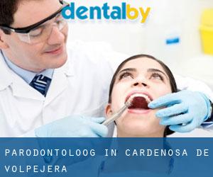 Parodontoloog in Cardeñosa de Volpejera