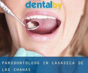 Parodontoloog in Casaseca de las Chanas