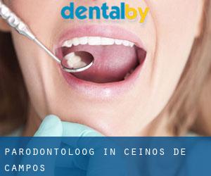 Parodontoloog in Ceinos de Campos