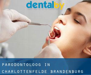 Parodontoloog in Charlottenfelde (Brandenburg)