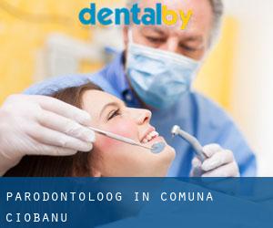 Parodontoloog in Comuna Ciobanu