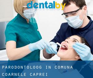 Parodontoloog in Comuna Coarnele Caprei