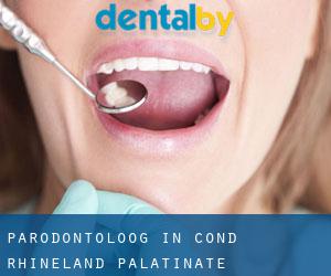 Parodontoloog in Cond (Rhineland-Palatinate)