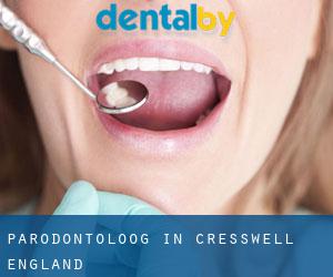 Parodontoloog in Cresswell (England)