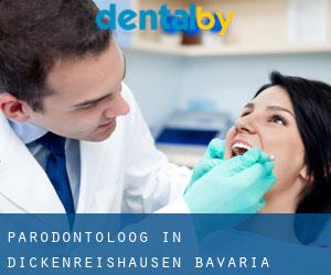 Parodontoloog in Dickenreishausen (Bavaria)