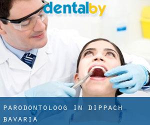 Parodontoloog in Dippach (Bavaria)