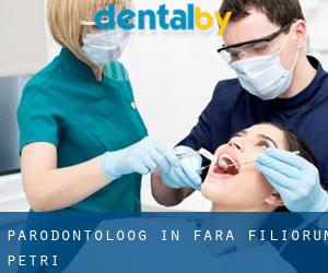 Parodontoloog in Fara Filiorum Petri