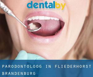 Parodontoloog in Fliederhorst (Brandenburg)