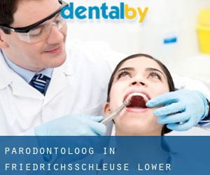 Parodontoloog in Friedrichsschleuse (Lower Saxony)