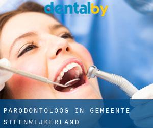 Parodontoloog in Gemeente Steenwijkerland