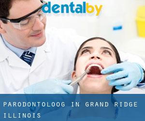 Parodontoloog in Grand Ridge (Illinois)