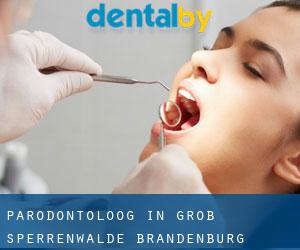 Parodontoloog in Groß Sperrenwalde (Brandenburg)