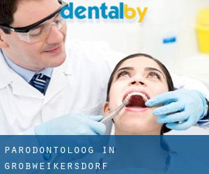 Parodontoloog in Großweikersdorf