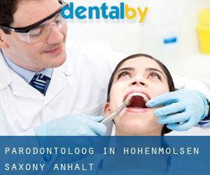 Parodontoloog in Hohenmölsen (Saxony-Anhalt)