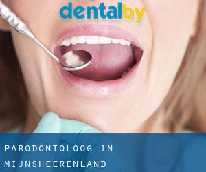 Parodontoloog in Mijnsheerenland