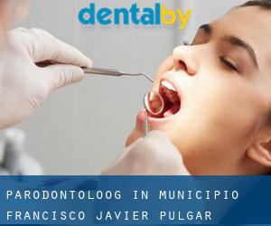 Parodontoloog in Municipio Francisco Javier Pulgar
