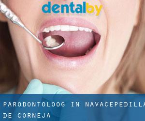 Parodontoloog in Navacepedilla de Corneja