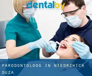 Parodontoloog in Niedrzwica Duża