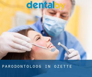 Parodontoloog in Ozette