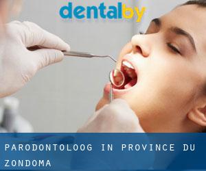 Parodontoloog in Province du Zondoma