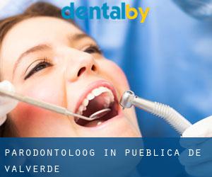 Parodontoloog in Pueblica de Valverde