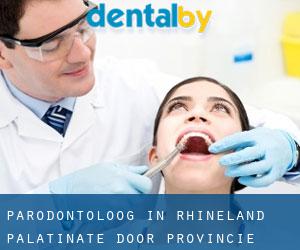 Parodontoloog in Rhineland-Palatinate door Provincie - pagina 1