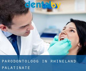 Parodontoloog in Rhineland-Palatinate Parodontoloog in Rhineland-Palatinate