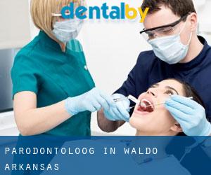 Parodontoloog in Waldo (Arkansas)