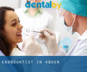 Endodontist in Aboën
