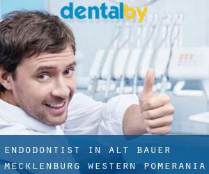 Endodontist in Alt Bauer (Mecklenburg-Western Pomerania)