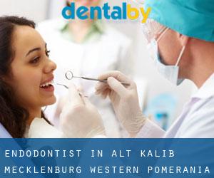 Endodontist in Alt Kaliß (Mecklenburg-Western Pomerania)