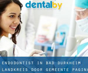 Endodontist in Bad Dürkheim Landkreis door gemeente - pagina 1