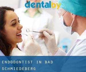 Endodontist in Bad Schmiedeberg