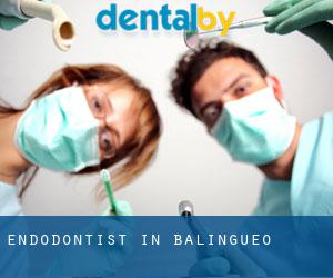 Endodontist in Balingueo