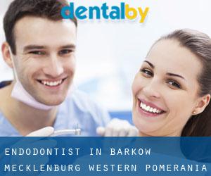 Endodontist in Barkow (Mecklenburg-Western Pomerania)